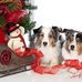 Nancy Gaffney - Facebook