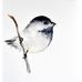 Nancy Gaffney - Facebook