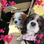 Nancy Galati Boccuzzio - @focus1959 - Instagram