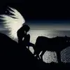 nancygallino - @nancygallino - TikTok