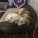 Nancy Galligan - @nancygalliganhorse - Instagram