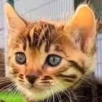 Nancy Gallus - Facebook