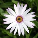 Nancy Clark Galt - @celtic325 - Instagram