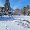 Nancy Gamboa - @nancy.gamboa92 - TikTok