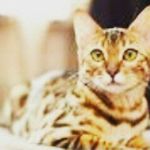 Nancy Teucher - @gamer_girl_nancy - Instagram