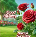 Nancy Gomez - Facebook