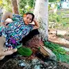 Nancy Marshall309 - @nancymarshallgamil.com3 - TikTok