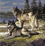 Nancy Gammon - Facebook