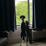 Nancy Gannon - @nancylynngannon1 - Instagram