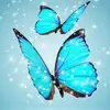 Nancy Gansy - @nancy.gansy - TikTok