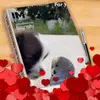 nancyganson - @nancyganson - TikTok