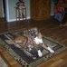 Nance Gerbracht - Facebook