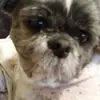 Nancy Garbrecht - @nancy.garbrecht - TikTok