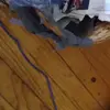 Nancy Hollgarth - @nancy.hollgarth - TikTok
