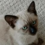 Nancy Mayfield Garthe - @nancygarthe - Instagram
