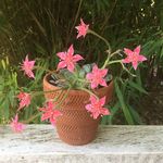 Nancy Garvin - @ncgarvin - Instagram