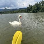Nancy Gaskin - @nancy.gaskin.946 - Instagram