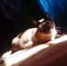 Nancy Gasparini - Facebook
