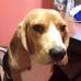 Nancy Gasparini - Facebook