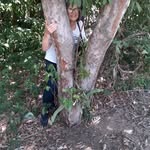 Nancy Gasparini Dos Reis - @nancygasparinidosreis - Instagram