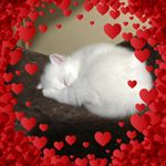 Nancy Gasperic - @nancygasperic - Instagram
