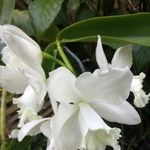 Nancy Gasperment - @nancygasperment - Instagram