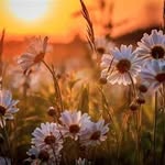 nancygaulke - @nancygaulke7 - Instagram
