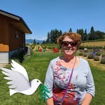 Nancy Gault - @nancy.gault.5 - Instagram