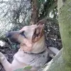 nancyrigault1 - @nancy.rigault - TikTok
