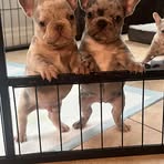Nancy Ge - Facebook