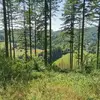 Nancy Geeraerts - @nancy.geeraerts - TikTok