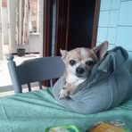 Nancy Geerts - Facebook