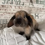 Nancy Geerts - @geerts737 - Instagram