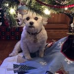 Nancy Geraci - @nancygeraci1955 - Instagram