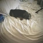 Nancy Geraghty Rossana - @nlrossana830 - Instagram