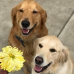 Nancy Gerding - Facebook