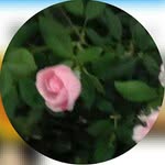 Nancy Gerding - @0xjzhuts4r - Instagram