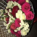 Sheba Nancy Gerson - @shebanancygerson - Instagram