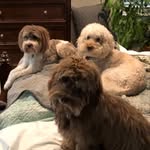 Nancy Gianni - @nancyjean25 - Instagram