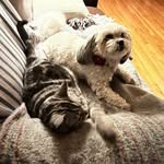 Nancy Giardini - @nancygiardini53 - Instagram