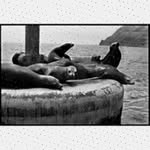 Altha Buch - @nancygieseler464 - Instagram
