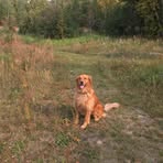 Nancy Giese - Facebook