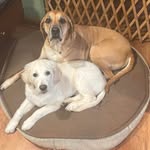 Nancy Giese Smyers - @nancy.smyers - Instagram