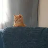 nancygiese88 - @nancygiese88 - TikTok