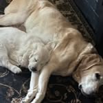 Nancy Gildea Dorzinsky - @gildeadorzinsky - Instagram