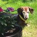 Nancy Gillen - Facebook