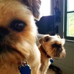 Nancy Gillette - @lucie_nicks - Instagram