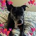 Nancy Gillette - Facebook