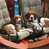 nancygillette455 - @nancygillette455 - TikTok