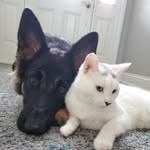 Nancy Gillon Thurnauer - @nancythurnaueruu - Instagram